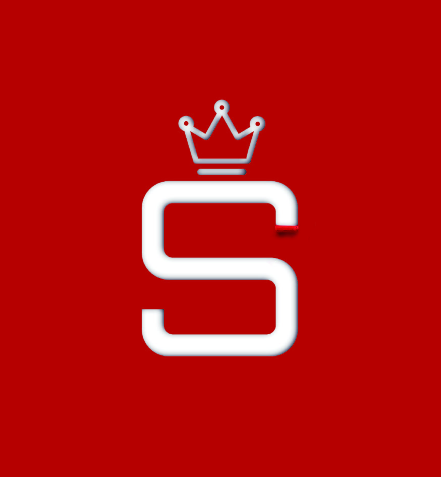 S級高(gāo)品質白(bái)鴨絨