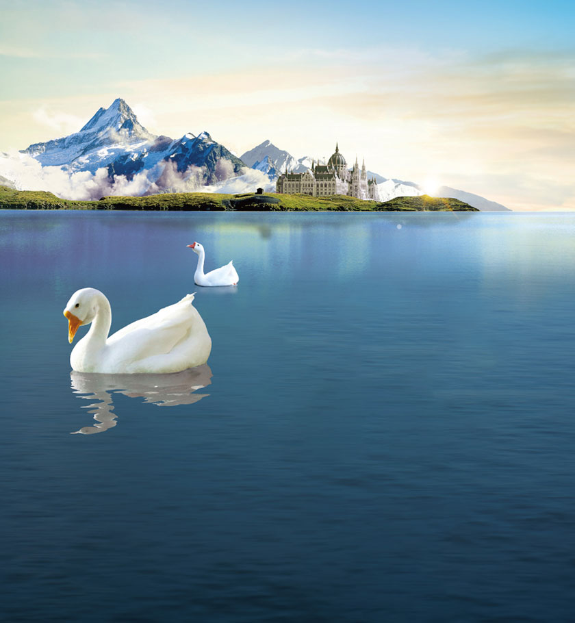 匈牙利霍爾多(duō)巴吉白(bái)鵝絨