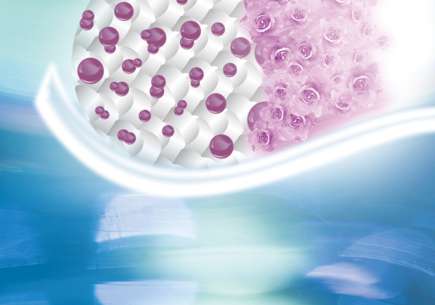 優選立體(tǐ)高(gāo)蓬松羽絨 回歸自(zì)然清香味