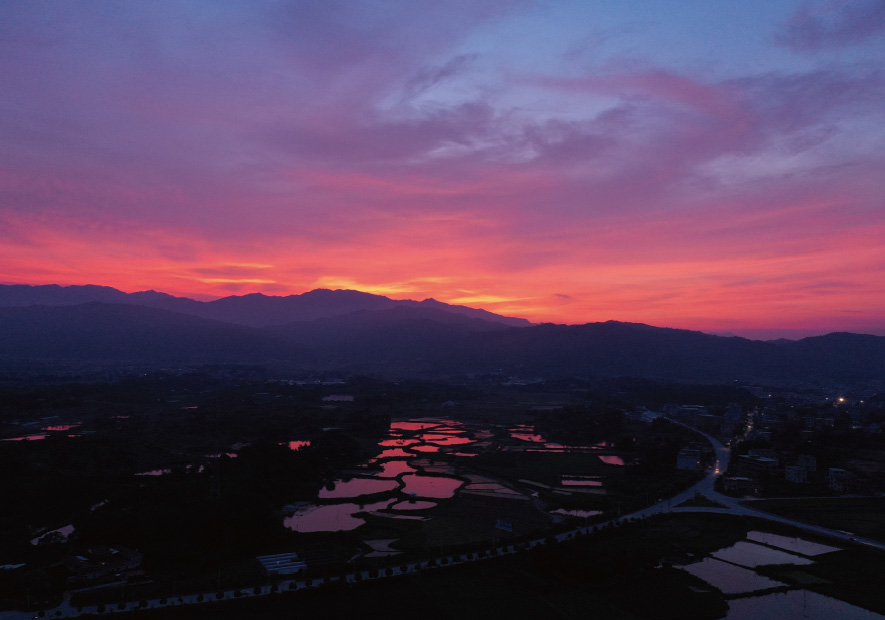 環球甄選   武夷山(shān)素境 直采高(gāo)清潔藥膳白(bái)鴨絨