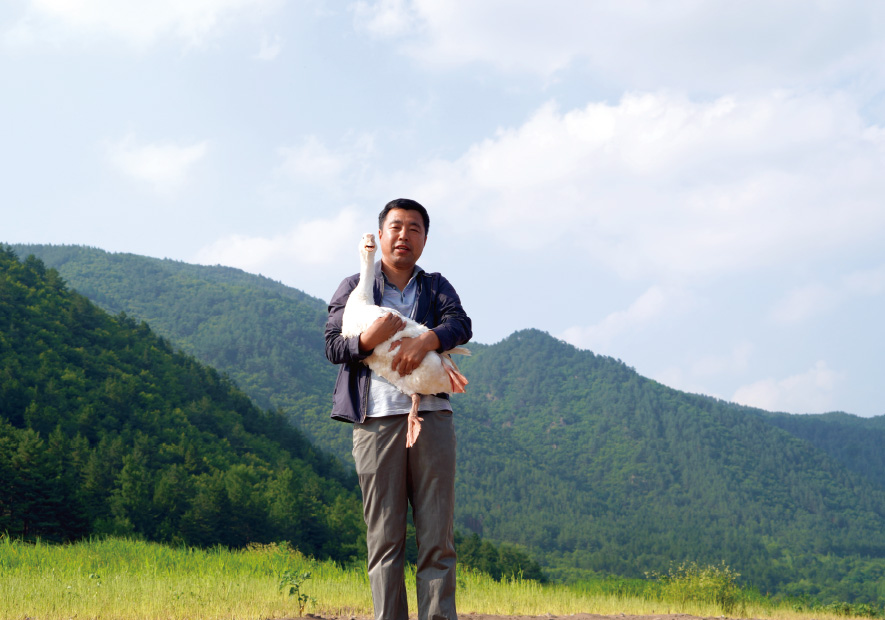 甄源 ·長(cháng)白(bái)山(shān) 白(bái)鵝絨