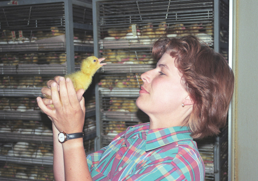 北(běi)海(hǎi)氣候  大(dà)自(zì)然的(de)回饋