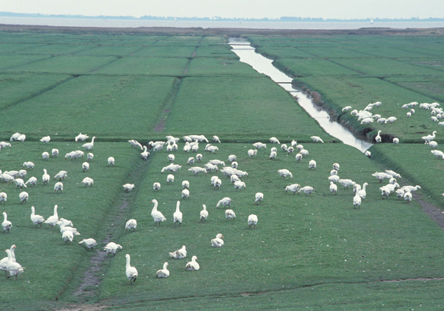 來(lái)自(zì)守護人(rén)的(de)真實呵護