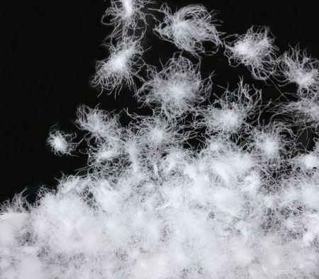 1584856565721952PVbq.jpg 1584856565721952PVbq.jpg