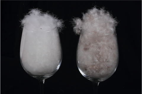 灰鴨絨和(hé)白(bái)鴨絨都(dōu)有(yǒu)哪些(xiē)優點和(hé)缺點?