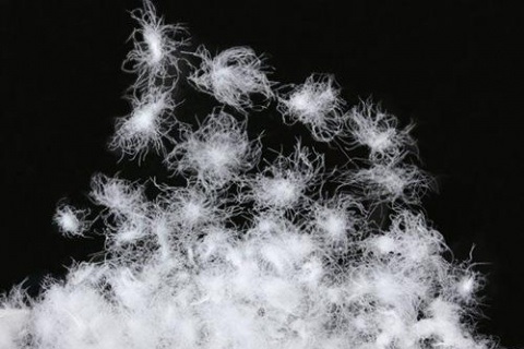 分(fēn)享一(yī)些(xiē)羽絨的(de)選購(gòu)指南(nán)