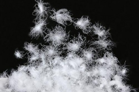 深入解析羽絨的(de)特性