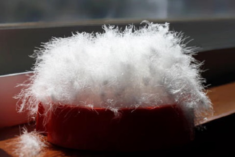 80羽絨和(hé)90羽絨的(de)區(qū)别，專業(yè)解釋來(lái)了(le)