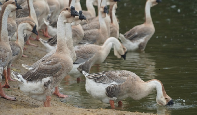 1594880980186496nXBn.png 1594880980186496nXBn.png