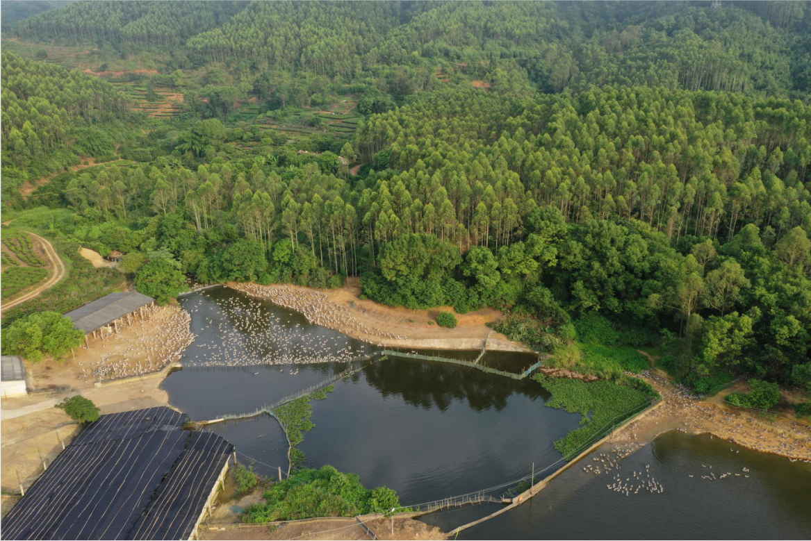 1594881048281938nsGN.png 1594881048281938nsGN.png