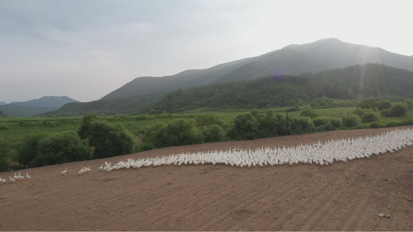 1594882830879952cdD9.png 1594882830879952cdD9.png