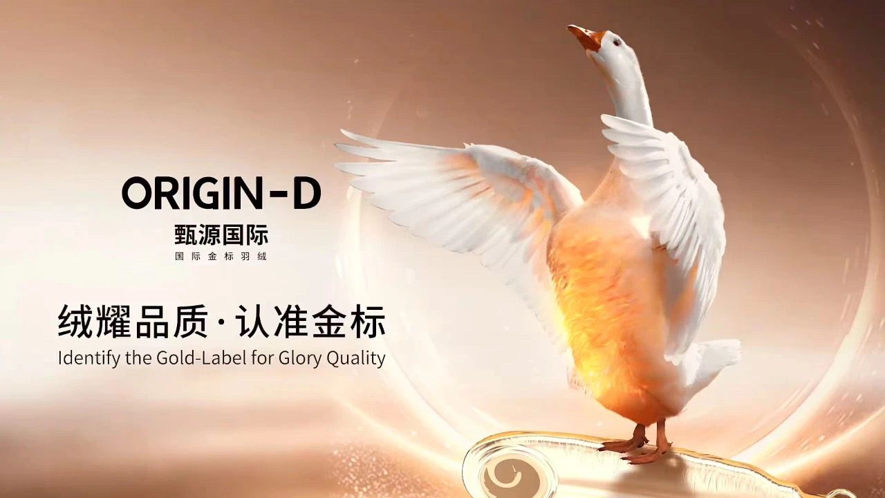 1710385047760198Qo1W.jpg 47161fc507b82ee74deeb0940fc8cc4.jpg